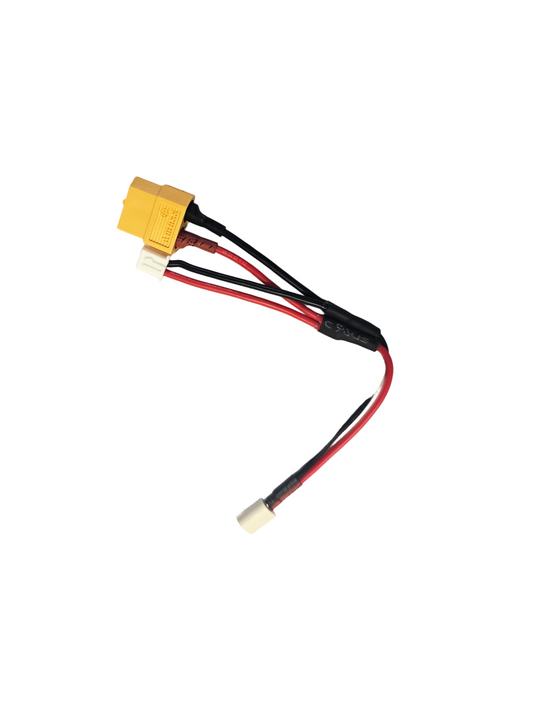 Adaptateur Gens ace XT60 femelle, JST-XHR-2P vers BT2.0 mâle, 100mm