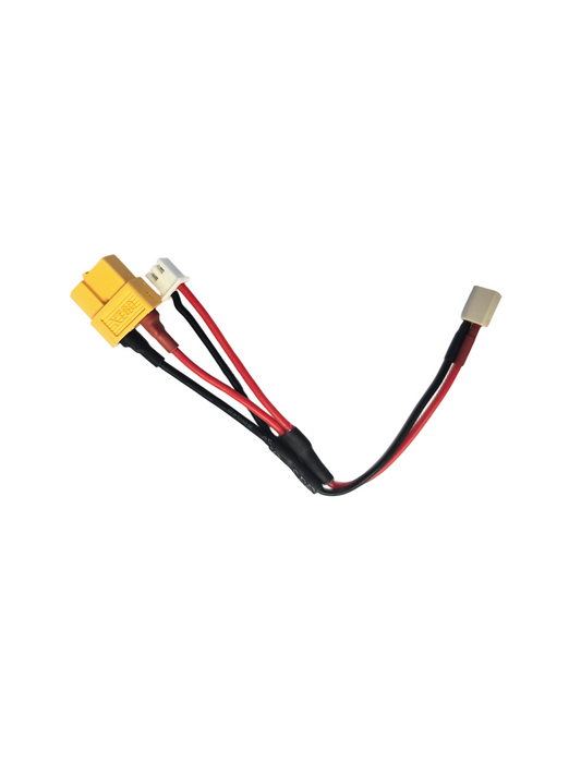 Adaptateur Gens ace XT60 femelle, JST-XHR-2P vers BT2.0 mâle, 100mm