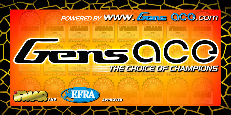 Gens Ace Banner 4m schwarz/grün